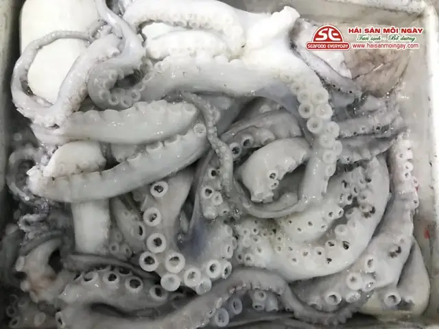 Bạch Tuộc Mazda Là Gì? Tổng Tất Tần Tật Về Màu Sắc Độc Bản