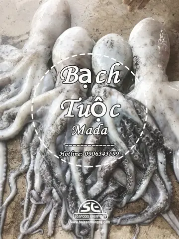 Bạch Tuộc Mazda Là Gì? Tổng Tất Tần Tật Về Màu Sắc Độc Bản