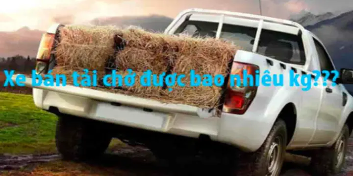 Bán Tải Mazda Chở Được Bao Nhiêu Kg? Hướng Dẫn Chi Tiết Từ A-z