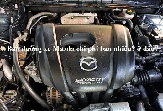 Bảo Dưỡng Xe Mazda Ở Đâu Uy Tín, Chất Lượng? Hướng Dẫn Chi Tiết Từ A-z