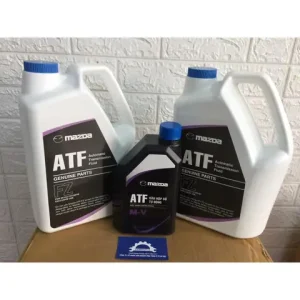 Hướng Dẫn Lắp Đặt Bẫy Dầu (oil Catch Can) Cho Mazda 3 Hiệu Quả