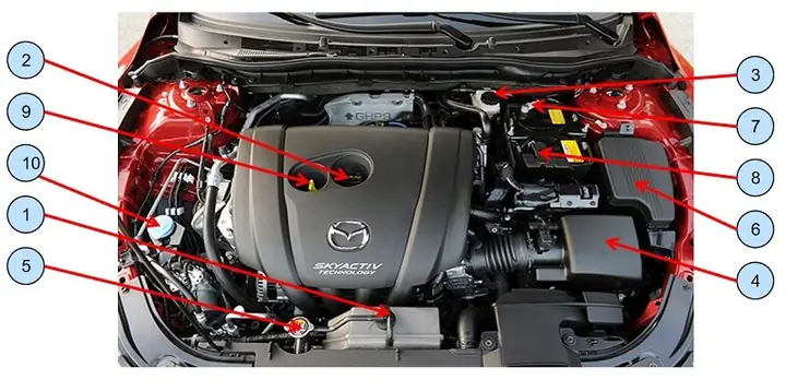 Cấu Tạo Khoang Máy Xe Mazda 6 2003: Khám Phá Chi Tiết Động Cơ & Hệ Thống