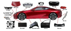 Khám Phá Cấu Tạo Lớp Sơn 25d Của Mazda: Độ Bền Và Vẻ Đẹp Vượt Thời Gian