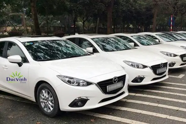 Thuê Xe Mazda 3 Tự Lái Theo Tháng: Hướng Dẫn Chi Tiết & Lưu Ý Quan Trọng