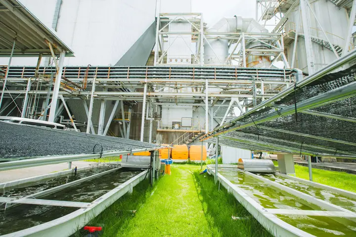 Hợp Tác Đại Học Hiroshima Và Mazda: Động Lực Đổi Mới Và Phát Triển Bền Vững