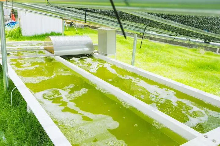 Hợp Tác Đại Học Hiroshima Và Mazda: Động Lực Đổi Mới Và Phát Triển Bền Vững