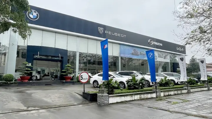 Công Ty Tnhh Ô Tô Mazda Trường Linh: Tìm Hiểu Chi Tiết Và Đánh Giá