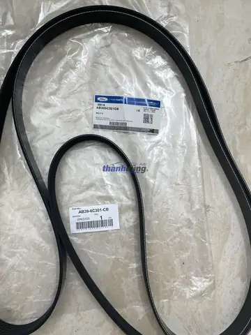 Dây Curoa Xe Mazda Bt50: Chức Năng, Dấu Hiệu Hỏng Hóc & Lời Khuyên Thay Thế