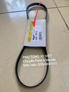 Mua Dây Curoa Mazda Premacy: Hướng Dẫn Chọn, Giá & Lắp Đặt