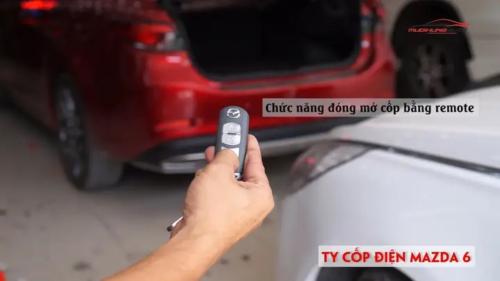 Độ Ổn Định Và Thẩm Mỹ: Lựa Chọn Đuôi Cá Mập Cho Mazda 6