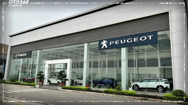 Giám Đốc Mazda Thanh Hóa: Hành Trình Đến Với Vị Trí Và Vai Trò Quan Trọng