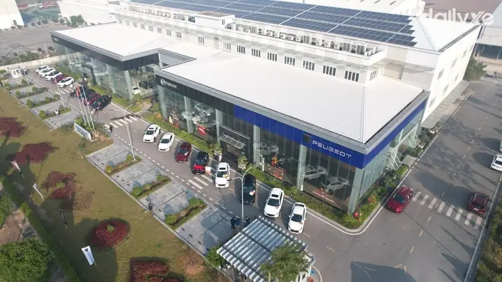 Khám Phá Mazda Nam Định: Địa Chỉ, Mẫu Xe & Dịch Vụ Chuyên Nghiệp