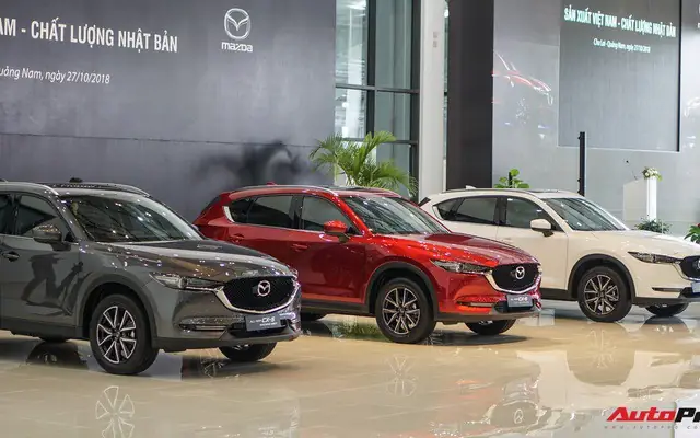 Mã Màu Xe Mazda: Danh Sách & Ý Nghĩa Chi Tiết