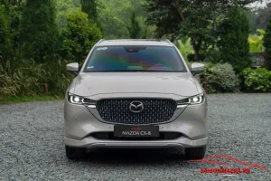 Khám Phá Màu Sắc Mazda Cx8: Lựa Chọn Phù Hợp Cho Người Mua
