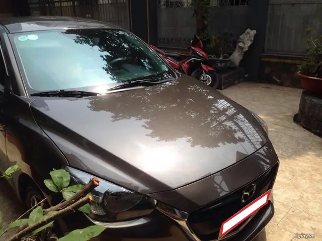 Mazda 2 Màu Lông Chuột: Góc Nhìn Toàn Diện Từ Phong Thủy Đến Thực Tế Sử Dụng