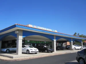 Mazda Bell Road: Top 5 Dòng Xe Mazda Cho Mọi Cung Đường