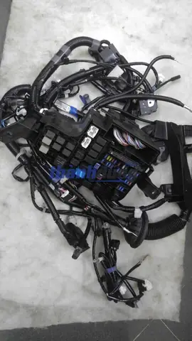 Mazda Cầu Điên: Nguyên Nhân, Dấu Hiệu Và Cách Khắc Phục