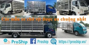 Mazda Chở Vịt: Top 5 Dòng Xe Phù Hợp Nhất Năm 2026