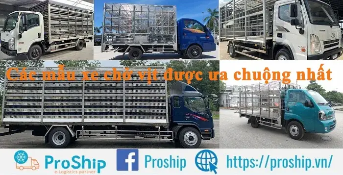 Mazda Chở Vịt: Top 5 Dòng Xe Phù Hợp Nhất Năm 2026 Mazda Chở Vịt: Top 5 Dòng Xe Phù Hợp Nhất Năm 2026