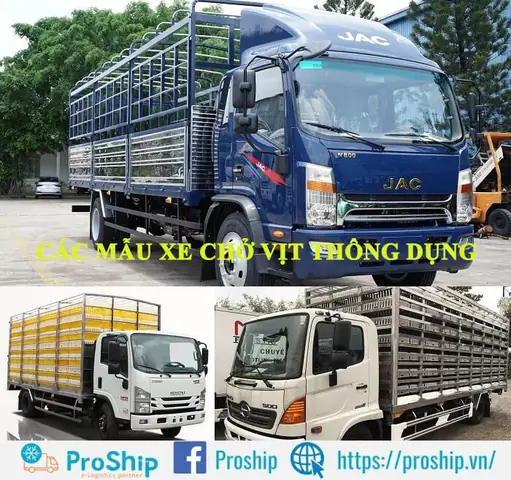 Mazda Chở Vịt: Top 5 Dòng Xe Phù Hợp Nhất Năm 2026 Mazda Chở Vịt: Top 5 Dòng Xe Phù Hợp Nhất Năm 2026