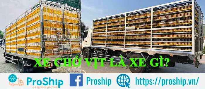 Mazda Chở Vịt: Top 5 Dòng Xe Phù Hợp Nhất Năm 2026 Mazda Chở Vịt: Top 5 Dòng Xe Phù Hợp Nhất Năm 2026