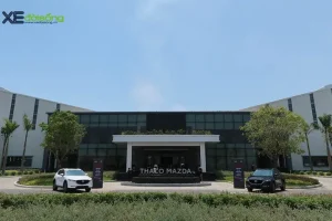 Mazda Có Làm Việc Chủ Nhật Không? Thông Tin Cập Nhật Mới Nhất