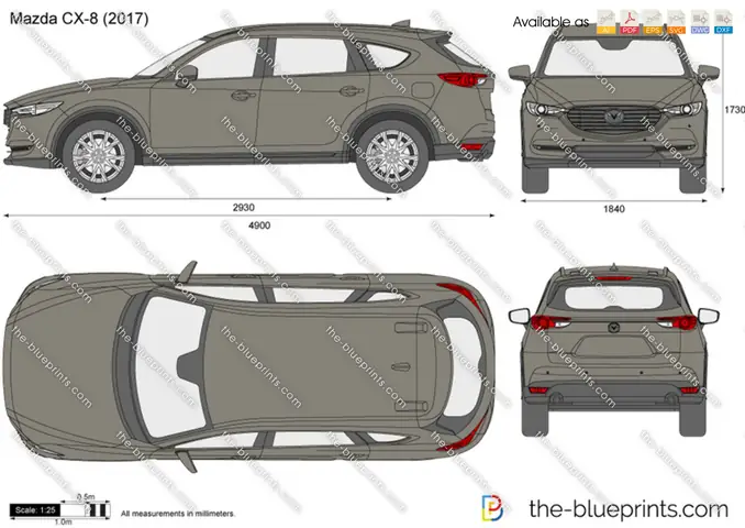 Mazda Cx-8 Dimensions: Kích Thước Chi Tiết Từng Phiên Bản
