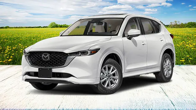 Top 3 Đại Lý Mazda Uy Tín Tại Littleton: Đánh Giá Toàn Diện Dịch Vụ & Trải Nghiệm Top 3 Đại Lý Mazda Uy Tín Tại Littleton: Đánh Giá Toàn Diện Dịch Vụ & Trải Nghiệm