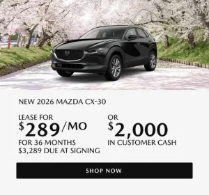 Ưu Đãi Thuê Xe Mazda Boston: Giá Tốt & Lựa Chọn