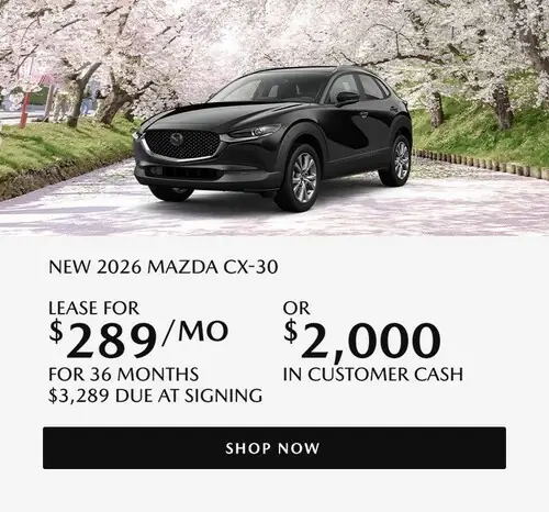 Ưu Đãi Thuê Xe Mazda Boston: Giá Tốt & Lựa Chọn