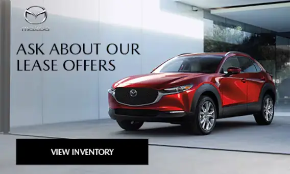 Top Ưu Đãi Thuê Xe Mazda Tốt Nhất 2026