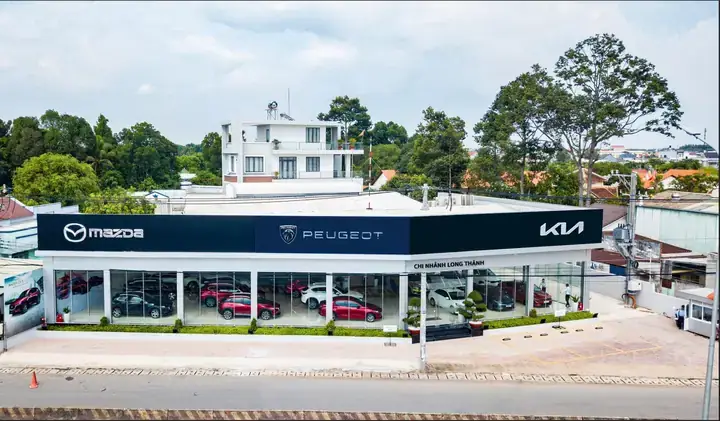 Top 5 Dòng Xe Mazda Phù Hợp Nhất Để Sở Hữu Tại Nova Scotia, Canada Top 5 Dòng Xe Mazda Phù Hợp Nhất Để Sở Hữu Tại Nova Scotia, Canada