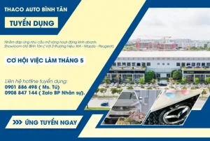 Tuyển Dụng Mazda Quy Nhơn: Cơ Hội Nghề Nghiệp Hấp Dẫn Và Yêu Cầu Cần Biết
