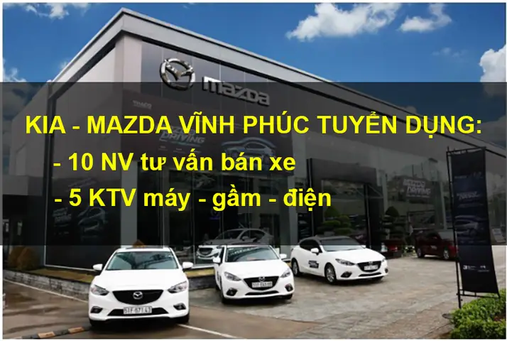 Hướng Dẫn Tuyển Dụng Tư Vấn Bán Hàng Xe Ô Tô Du Lịch Cho Người Mới