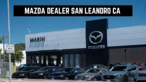 Top 5 Đại Lý Mazda Uy Tín Tại Naarden: Đánh Giá Toàn Diện Dịch Vụ Và Hỗ Trợ