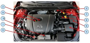 Tìm Hiểu Cơ Bản Về Oto Mazda: Lịch Sử, Dòng Xe Và Ưu Điểm Nổi Bật