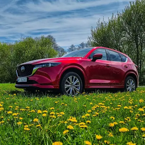 Mazda Biên Hòa: Giá, Xe & Địa Chỉ Đại Lý Chính Hãng