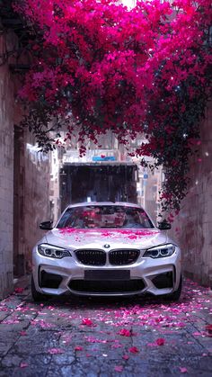 BMW 3 Series Wallpaper: Bộ Sưu Tập Hình Nền Chất Lượng Cao Cho Mọi Màn Hình 3 bmw 3 series wallpaper - Hình 3
