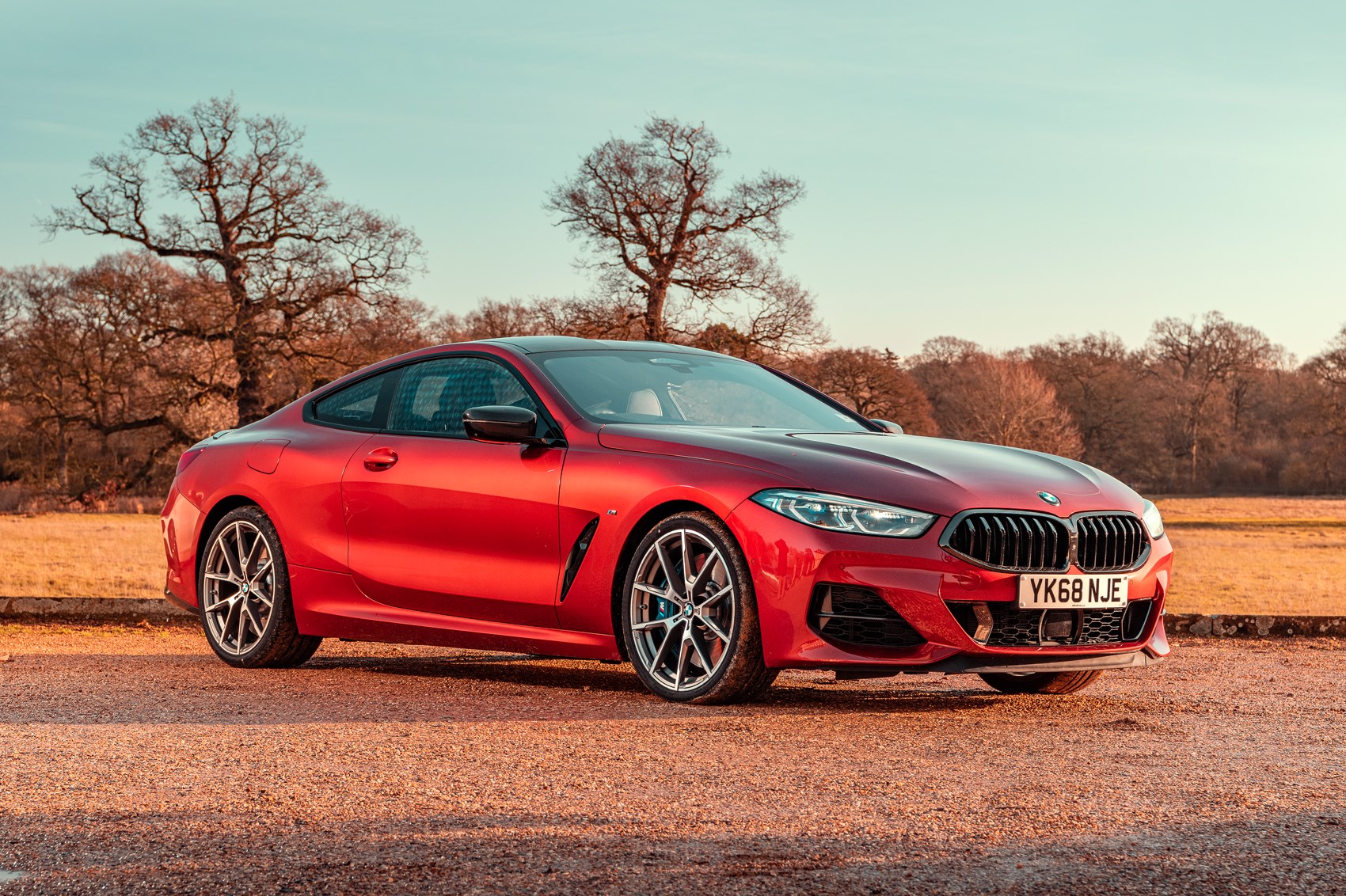 BMW 8 Series Coupe: Đỉnh Cao Xa Xỉ Và Hiệu Năng Trong Từng Milimet 1 bmw 8 series coupe - Hình 4