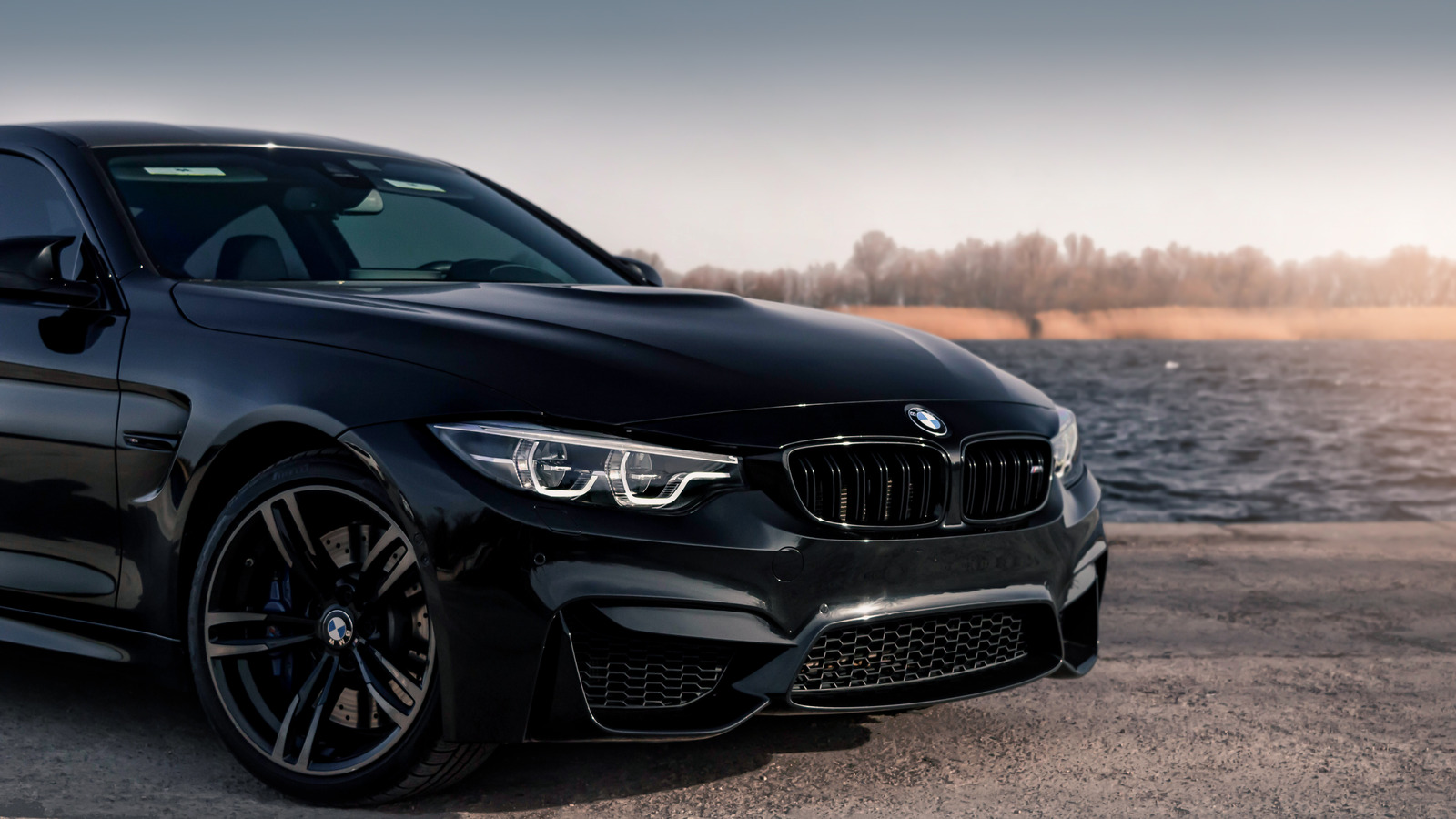 bmw beamer - Hình 3