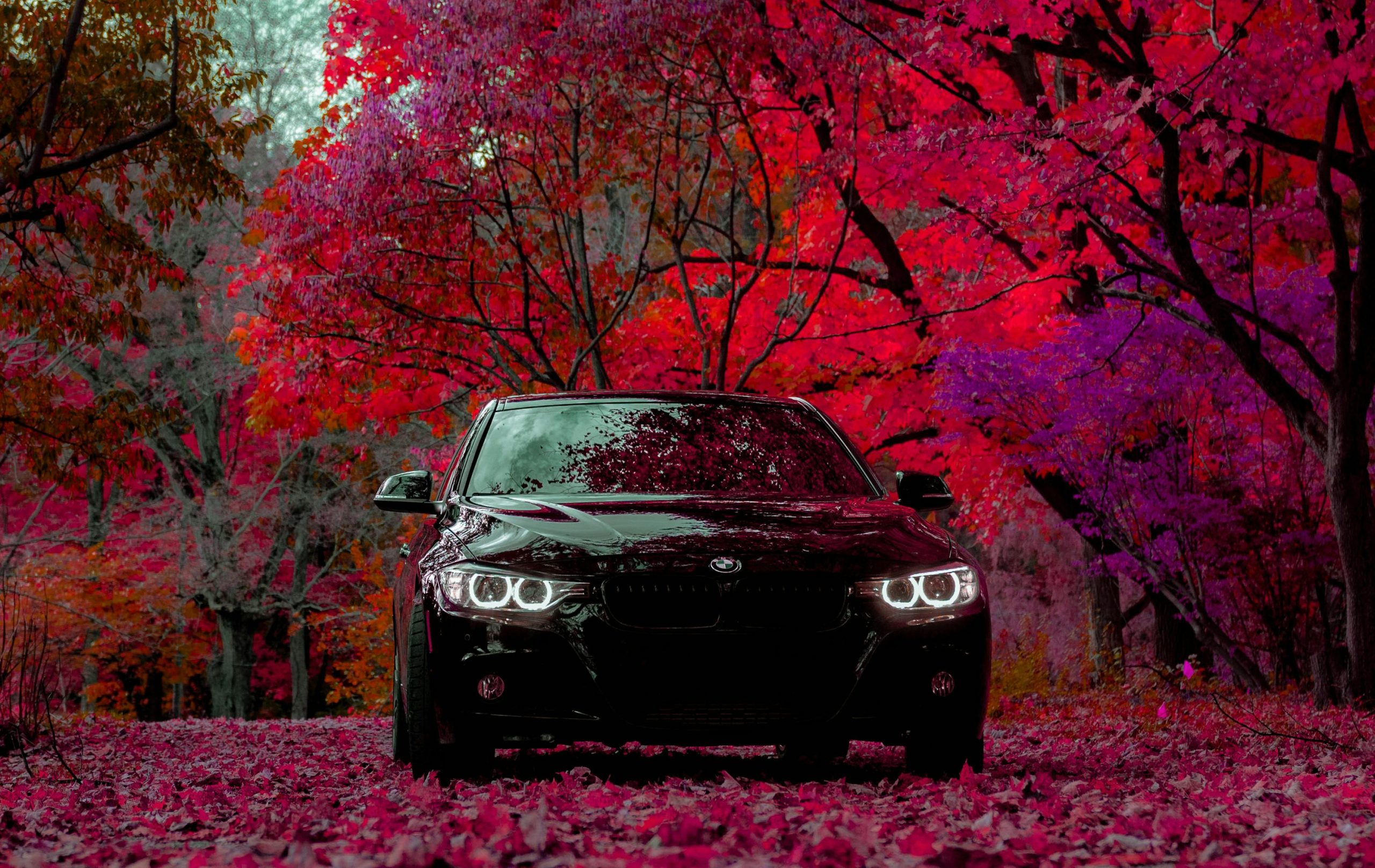 BMW Car Background: Lịch Sử Hình Thành Và Phát Triển Của Huyền Thoại Xe Hơi Đức 3 bmw car background - Hình 2