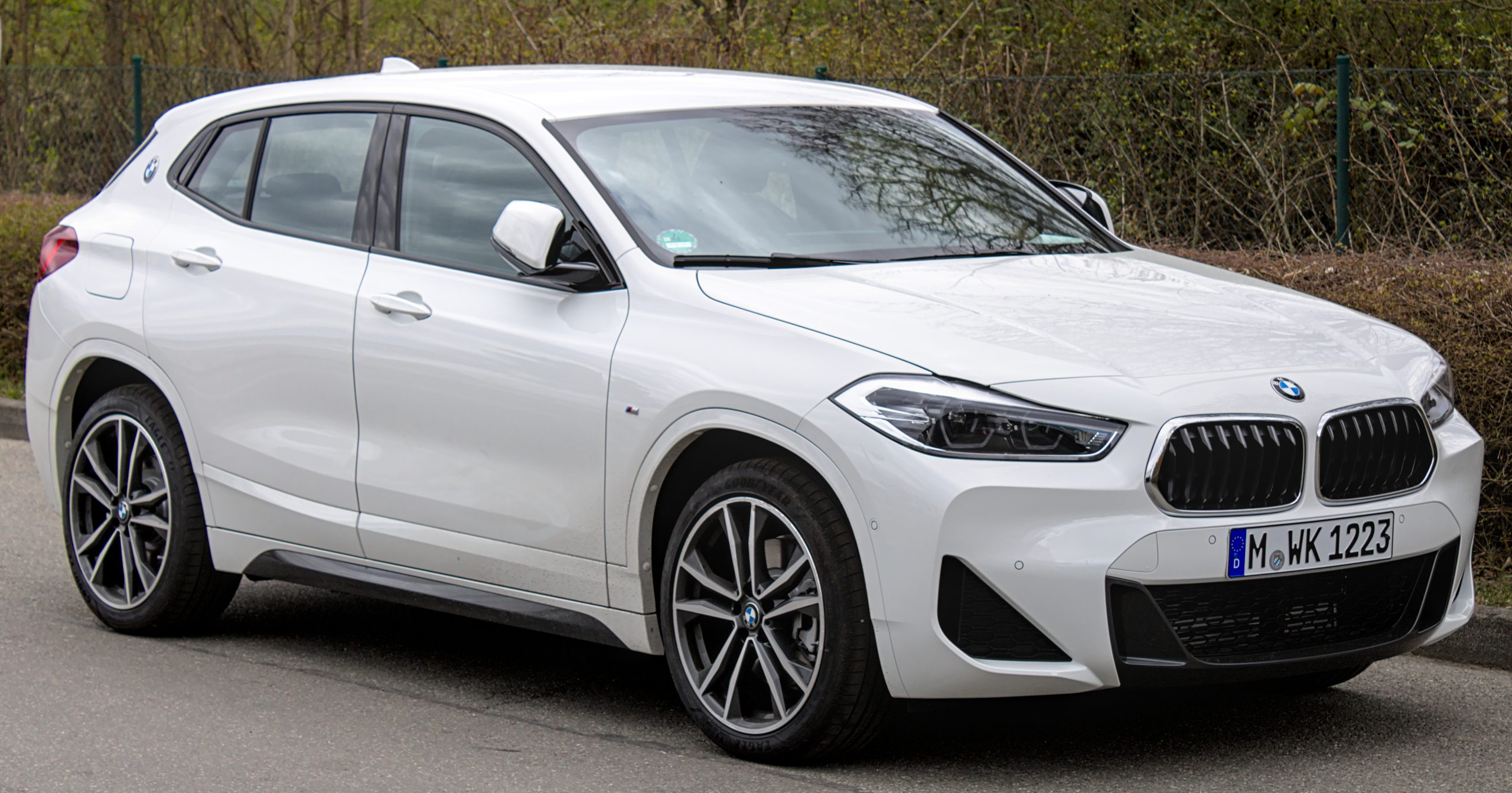 BMW F39: Mọi Điều Cần Biết Về Mẫu Xe Gầm Cao Thể Thao Đầy Cá Tính 5 bmw f39 - Hình 1