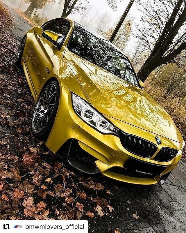 BMW Gold: Phiên bản đặc biệt, lịch sử và giá trị sưu tầm đỉnh cao 3 bmw gold - Hình 2