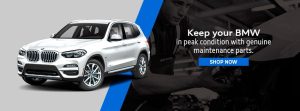 bmw oem