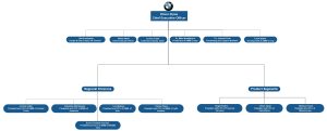 bmw organizational structure