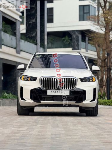 BMW X5 máy dầu cũ: Kinh nghiệm chọn mua, đánh giá chi tiết và những điều cần biết 2 bmw x5 máy dầu cũ - Hình 4