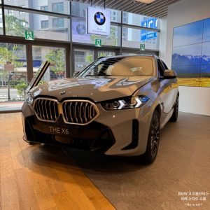 bmw x6 가격