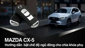 Chế Độ Ba N Tư Đông Cơ Mazda: Hiểu Rõ Để Tối Ưu Vận Hành Và Bảo Dưỡng