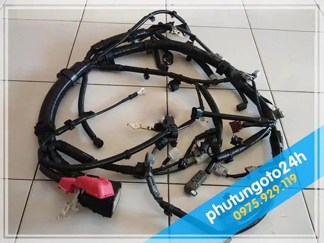 Day Toyota: Hướng Dẫn Chi Tiết Về Ngày Hội Xe Toyota