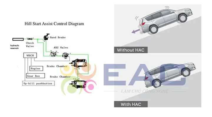 Hac Toyota Là Gì? Tổng Quan Và Các Dịch Vụ Chính